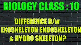 Difference Between Endoskeleton Exoskeleton and Hydro Skeleton For Class 10th [upl. by Angelika837]