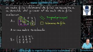 Matriz escalonada [upl. by Evaleen]