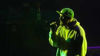 Limp Bizkit LIVE Boiler Hannover Germany Gilde Parkbühne 25082015 FULLHD [upl. by Won]