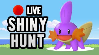 ✨ SHINY HUNTING MUDKIP ✨ 『youtube』『twitter』『discord』 [upl. by Issak]