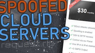 CHEAP SPOOFED CLOUD SERVERS  RequestRip [upl. by Endora]