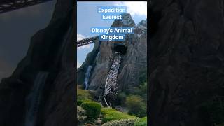 Ride Expedition Everest at Disneys Animal Kingdom [upl. by Lenej683]