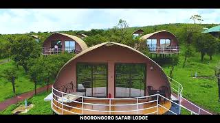 Welcome to Ngorongoro Safari Lodge  The home of the Maasai Giraffe [upl. by Aicilanna]