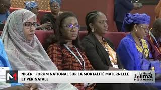 Niger  Forum national sur la mortalité maternelle et périnatale [upl. by Kala200]