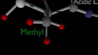 Science Animation amino acids [upl. by Wilser]