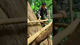 Bushcraft Build Shelter Wood Survival In Stone Camping building [upl. by Suzanna]