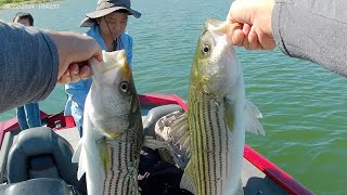 Fishing Striped Bass  San Luis Reservoir 9222024 [upl. by Om]