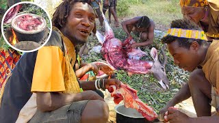 The Remarkable Life Of The Hadzabe Tribe  HuntingCooking And Surviving In The Wild [upl. by Charissa]