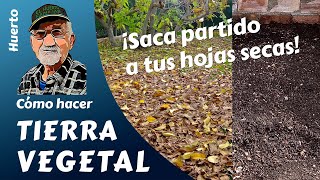 𝗧𝗜𝗘𝗥𝗥𝗔 𝗩𝗘𝗚𝗘𝗧𝗔𝗟 CÓMO HACER TIERRA VEGETAL [upl. by Yehc286]