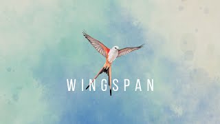 WINGSPAN【ウイングスパン】目指せ100点① [upl. by Sivrup]