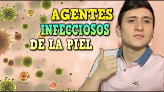 DESCRIBIENDO BACTERIAS Y HONGOS QUE AFECTAN LA PIEL ¡DE LA MANERA MÁS FÁCIL [upl. by Bat894]