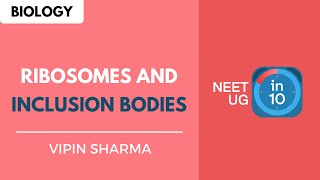 Ribosomes and Inclusion Bodies  NEET Biology  NEET UG in 10 [upl. by Wahl]