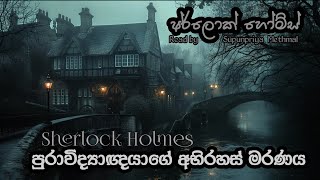 Sherlock Holmes වර්ෂ 1883 මාර්තු  පුරාවිද්‍යාඥයකුගේ අභිරහස් මරණය  Audiobook by SupunpriyaMethmal [upl. by Eusebio]