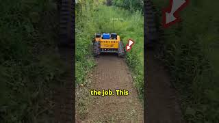 this man finds best Grass Trimmers machine shortsviral satisfying cars [upl. by Airbmat]