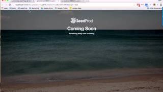 Coming Soon Page and Maintenance Mode by SeedProd [upl. by Ttegirb154]