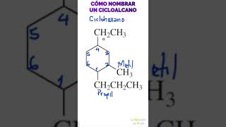 CÓMO NOMBRAR UN CICLOALCANO [upl. by Lanam]