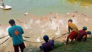 Bangla fishing blogging Jelera group  বিশাল বড় সাইজের রুই কাতল মাছ পুকুর থেকে ধরে কিভাবে 🐟 [upl. by Arutek9]