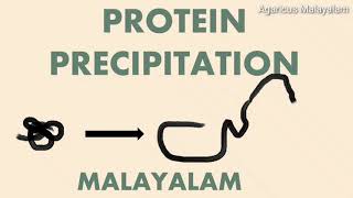 PRECIPITATION OF PROTEINS  PROTEIN PRECIPITATION PROTEIN BIOCHEMISTRY  MALAYALAM [upl. by Eelloh]