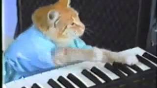 Keyboard cat ORIGINAL [upl. by Hairas]