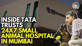 Ratan Tatas Dream Project Comes To Life With Indias First Advanced 24x7 Animal Hospital  N18V [upl. by Nasah346]