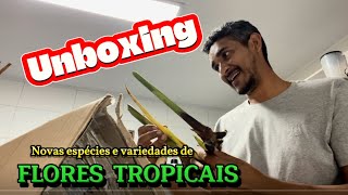 Recebendo novas espécies de Flores Tropicais Helicônias Bastão e Calatheas  Unboxing 1 [upl. by Oneida340]