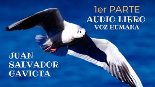 JUAN SALVADOR GAVIOTA 13 PARTES  AUDIO LIBRO VOZ HUMANA [upl. by Aita]