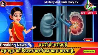 🥺किडनी स्टोन समस्या पढ़ सकती ये 🤔3 चीज खाने से बचे जादे 😁Causes Kidney Stones facts shorts scince [upl. by Roobbie]