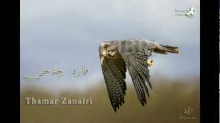 فارد جناحي Thamar Zananiri [upl. by Mirna]