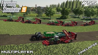 Sugar beet harvest w small equipment  Oberkrebach  Multiplayer Farming Simulator 19  Episode 55 [upl. by Enyahc]