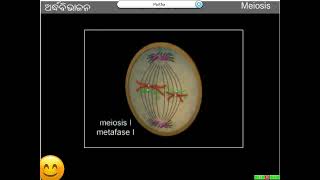 Life Science Class 10 Reproduction Part 05 [upl. by Yelloh]