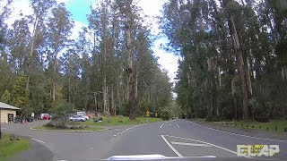 DASH CAM AUSTRALIA VICTORIA Driving from Kallista to Carrum Downs [upl. by Sille]