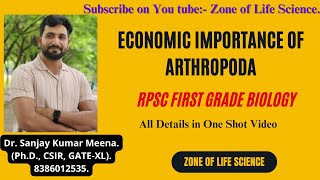 Economic Importance of Arthropoda For RPSC First Grade Biology by Dr Sanjay Meenarpscfirstgrade [upl. by Noiroc]