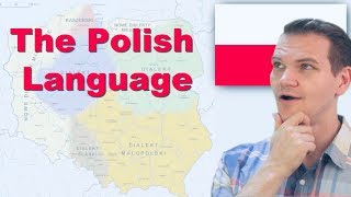 The Polish Language Is this real [upl. by Abisia]