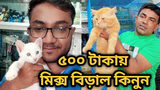 Mixed breed cat price in BangladeshCat price in 2023 Katabon animal market in Bangladesh persian [upl. by Ijies]