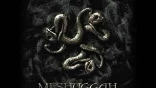 Meshuggah  Minds Mirrors  In Death Is Death [upl. by Parrish]