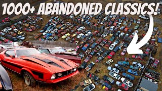 Exploring Junkyard Full of Abandoned Mustangs Muscle Cars Classic Cars  Chasing Crappy Cars Ep22 [upl. by Loris154]