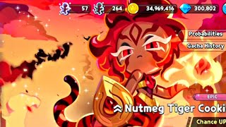 Nutmeg Tiger cookie gacha 🔥  Cookie Run Kingdom  cookierunkingdom crk [upl. by Sim]