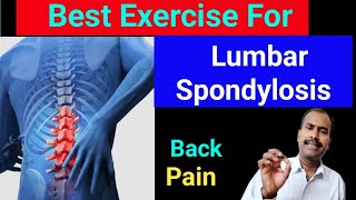 Best Exercise For Lumbar Spondylosis । Back pain Relief Exercise । Backpain painhealeravijit [upl. by Clifford]