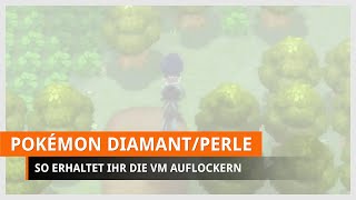 Pokémon Strahlender Diamant amp Leuchtende Perle VM Auflockern finden [upl. by Nwahsear]