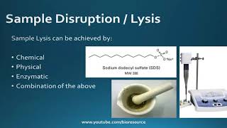 Nucleic Acid Purification  Principles and Methods [upl. by Charlton]