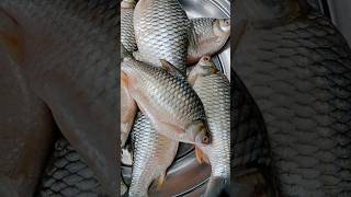 Amazing Koi Fishing Video in Bangladesh  Local Fish Market Part 211 shorts [upl. by Wellington]