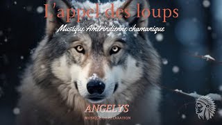 Lappel des loups Musique Amérindienne Chamanique [upl. by Nnel]