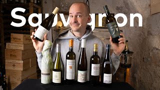 Best VIVINO SAUVIGNON BLANCs Master of Wine Tastes Worldwide Sauvignons [upl. by Lindner]