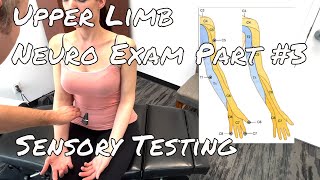 Upper Limb Neuro Exam  Part 3 Deep Tendon Reflexes Sensory [upl. by Maximo]