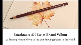 Strathmore 500 Series Bristol Vellum  A first impression [upl. by Aicnelev]