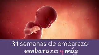 31 semanas de embarazo  Séptimo mes  EMBARAZOYMAS [upl. by Evoy]