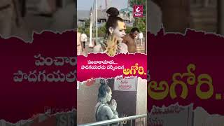 పంచారామాలు పాదగయలను దర్శించిన అగోరి Aghori Special Prayers In Andhra PradeshCircarExpressNews [upl. by Kursh]