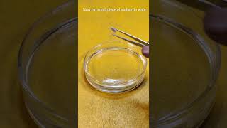 Reaction of Sodium Metal with Water science experiment [upl. by Ainerol]