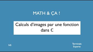 Calculs dimages par une fonction dans C [upl. by Eboj459]