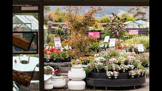 Stonemans Garden Centre Brand Film [upl. by Reh]